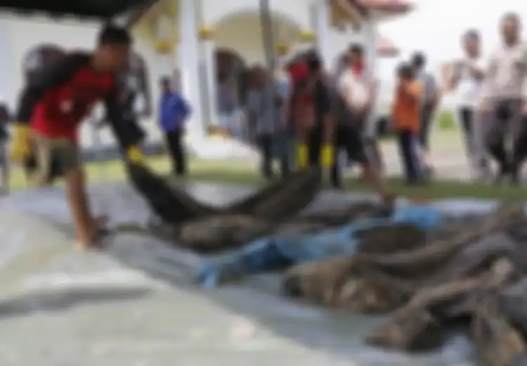 Gali Lubang untuk Septic Tank, Pekerja Ini Malah 'Bongkar' Kuburan Massal 45 Jenazah Korban Tsunami Aceh 14 Tahun Lalu