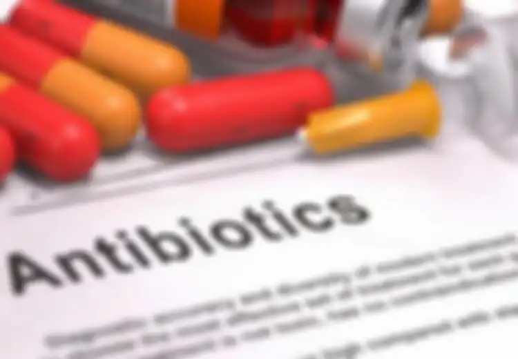 Tiwas Buru-buru ke Apotek, Nyesal Baru Tahu Sekarang, Bumbu Dapur Ini Ternyata Antibiotik Alami untuk Hancurkan Bakteri Penyebab Penyakit