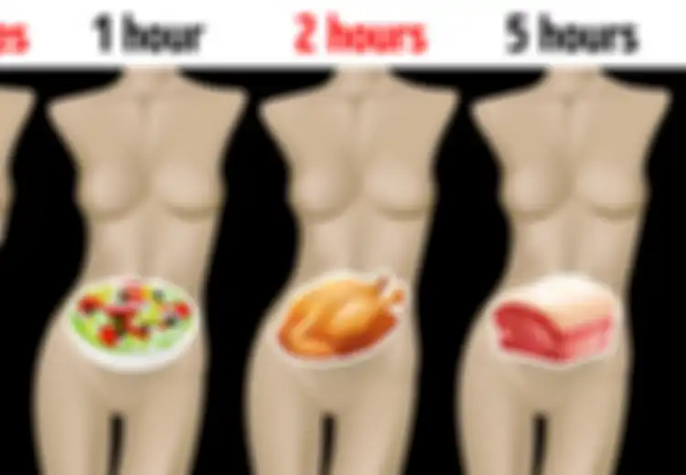 Ini Waktu yang Diperlukan Tubuh Mencerna Setiap Jenis Makanan, Jangan Remehkan Sebab Terlalu Cepat atau Terlalu Lambat Sama Bahayanya