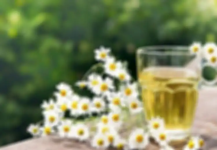 Herbal Antihistamin Alami Sebagai Obat Biduran Tradisional yang Ampuh