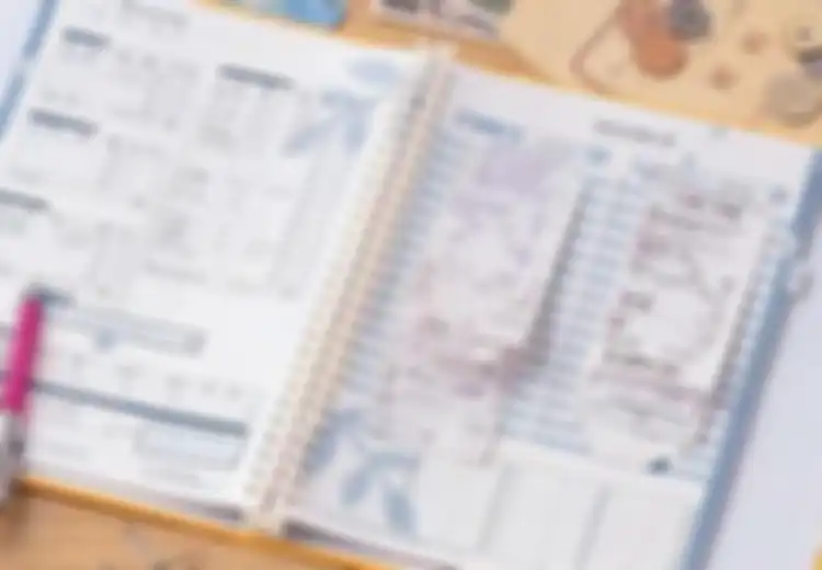 Mengenal Kakeibo, Solusi Cerdas Menabung ala Jepang, Tradisional Namun Efektif