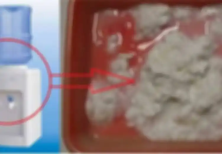 Waspada Saat Minum Air dari Dispenser, Ternyata Ada Bahaya Seperti Ini yang Tersembunyi!