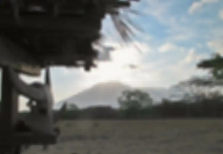 Baluran, Africa van Java dengan Hewan-hewan Liar Eksotis nan ‘Pemalu’