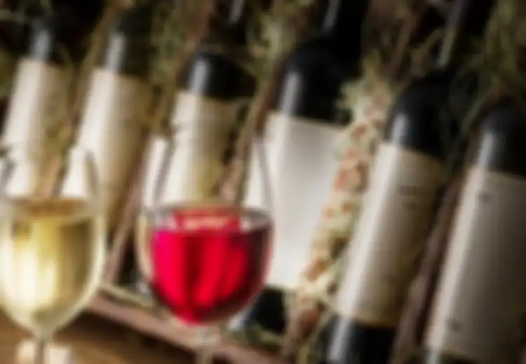 Dikenal Memabukkan, Alkohol Ternyata Mampu Membuat Otak Belajar dan Mengingat Lebih Baik