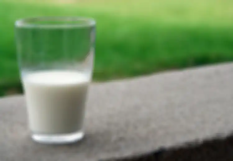Batasi Konsumsi Susu dalam Jumlah Ini Jika Ingin Kurangi Risiko Sakit Jantung