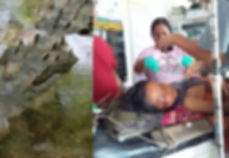 Anaknya Nyaris 'Disantap' Buaya, Seorang Ayah Nekat Bertarung dan Menggigit Kaki Buaya Ini