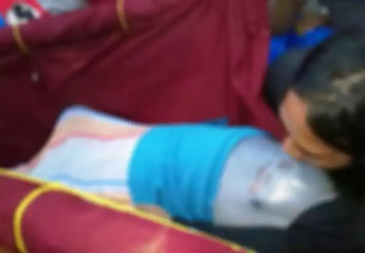 Kisah Haru Sepasang Lumba-lumba Sungai Kualuh, Sang Betina Mati dan yang Jantan Gegar Otak