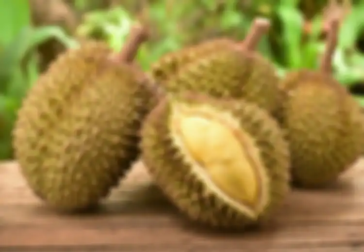 Catat! Ini Daftar Siapa Saja yang Sebaiknya Tidak Boleh Makan Durian