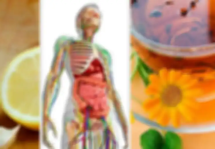 Penting! Ini 3 Obat Alami untuk Detoksifikasi Sistem Limfatik Anda