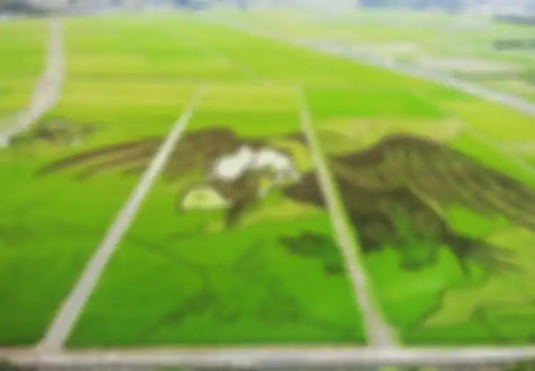 Bak Memahat Sawah, Seperti Apa Seni Lukis Tanbo Art yang Unik Ini?