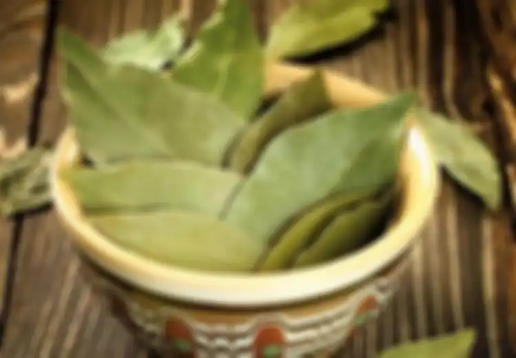 Manfaat Daun Salam untuk Kesehatan, Termasuk untuk Diet Langsing