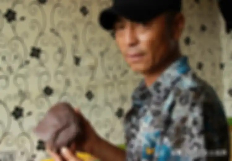 Temukan Batu Coklat Kemerahan, Pria Ini Mendadak Kaya, Harga Batunya Ternyata Lebih Mahal dari Emas