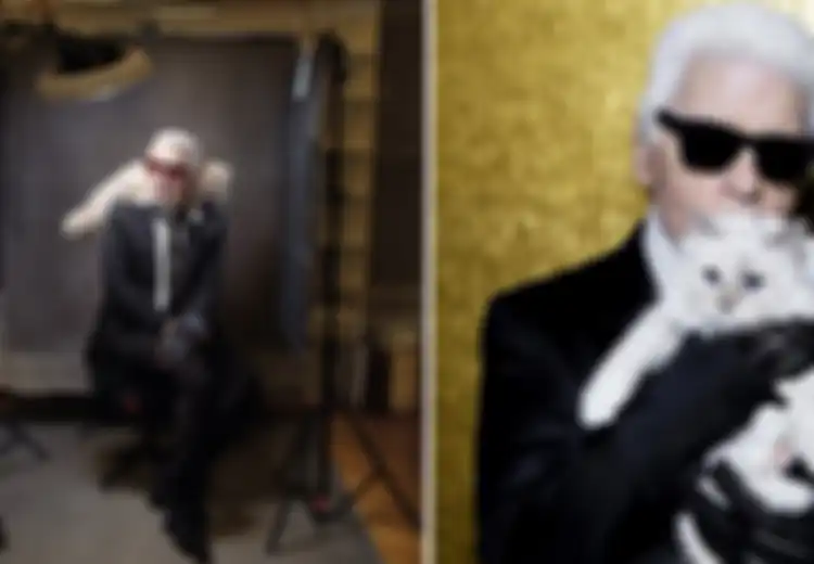 Kucing Karl Lagerfeld Mungkin Lebih Kaya daripada Anda Karena Mewarisi Harta Senilai Rp5,3 Triliun dari Pemiliknya