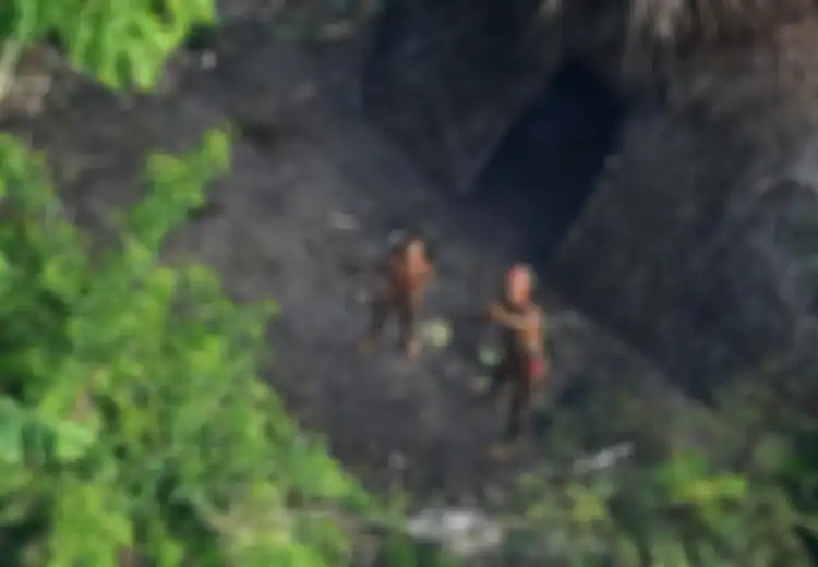 Ini Alasan Suku-suku Asli di Hutan Amazon Ingin Dibiarkan Sendiri