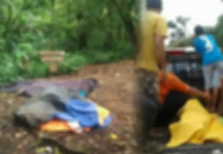 3 Pelajar SMP Tewas di Gunung Tamponas Setelah Sempat Dilarang Mendaki