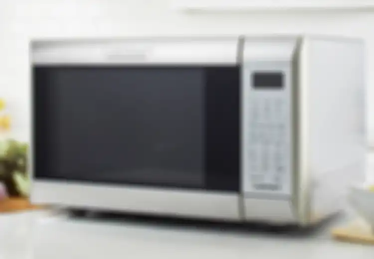 Bisa Bahaya, Jangan Pernah Masukkan 12 Benda Ini ke dalam Microwave, Beberapa di antaranya Sering Dilakukan!