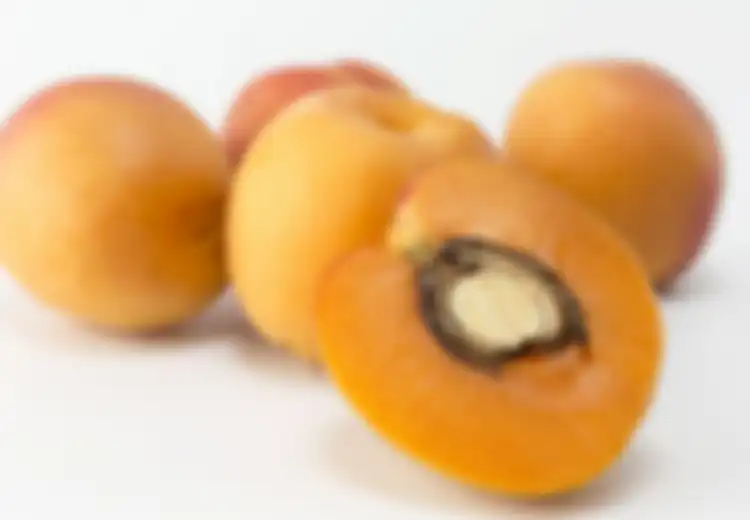 Ini 3 Manfaat Ajaib Buah Aprikot untuk Perawatan Kulit Agar Tetap Cantik dan Awet Muda