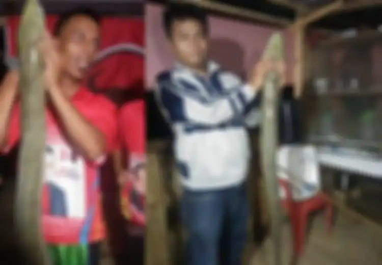 Belut Raksasa Berukuran 2 Meter Ditemukan Warga  Sumatera Utara, Seperti Inilah Penampakannya