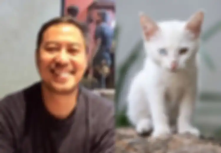 Pandji Sebut Kucing Binatang Gembel: Sejak Kapan Kucing Bersahabat dengan Manusia?