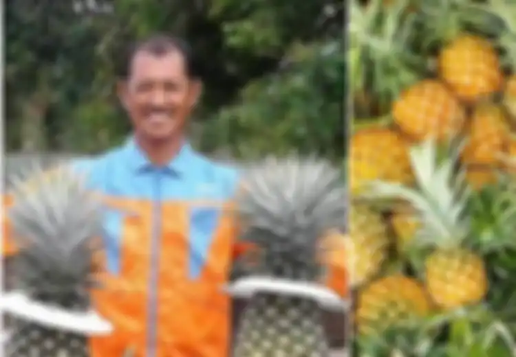 Sukses Jadi Auditor Keuangan, Pria Malaysia Ini Malah Pilih Hidup Sebagai Petani, tapi Lihat Penghasilannya Kini!