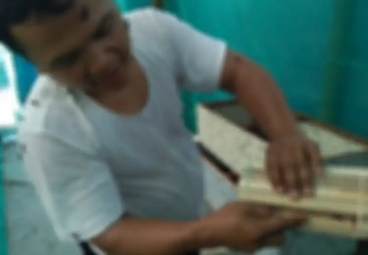 Hanya Dengan Budidaya Lalat, Warga di Kampung Ini Bisa Beri Beasiswa dan Bayar BPJS