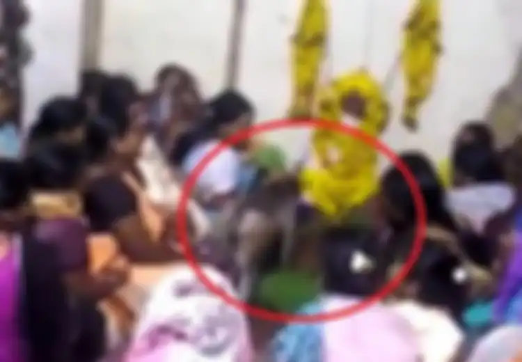Seekor Monyet Datangi  Prosesi Pemakaman dan Elus Kepala Keluarga yang Berduka