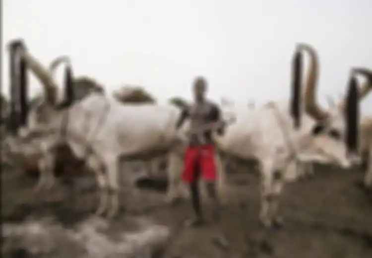 Bukan Pakai Cambuk, Suku Mundari di Sudan Selatan Menjaga Sapinya dengan AK-47, Sangar!