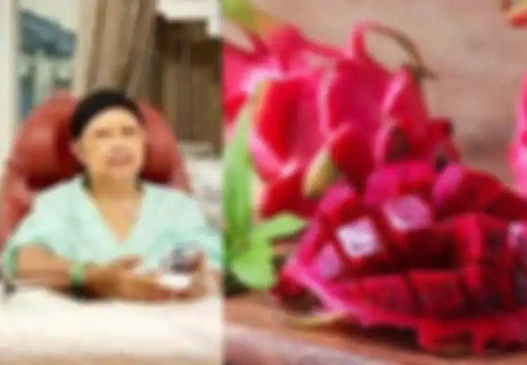 Sutopo Sarankan Ibu Ani Makan Buah Naga, yang Punya Manfaat Luar Biasa untuk Ibu Hamil: Dari Cegah Cacat Hingga Bantu Pembentukan Otak