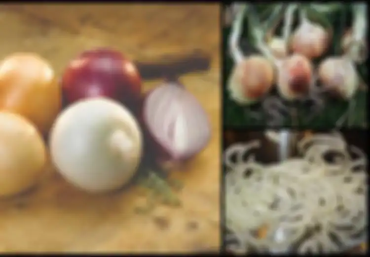 Diet Sehat Diabetes: Mengatur Kadar Gula Darah Dengan Bawang