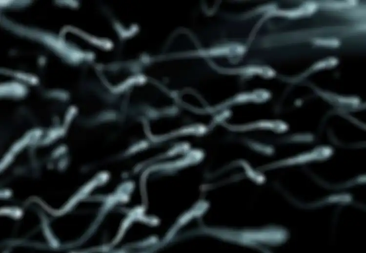 Pria Punya Jam Biologis Reproduksi, Ini Waktu Terbaik Pria untuk Punya Anak