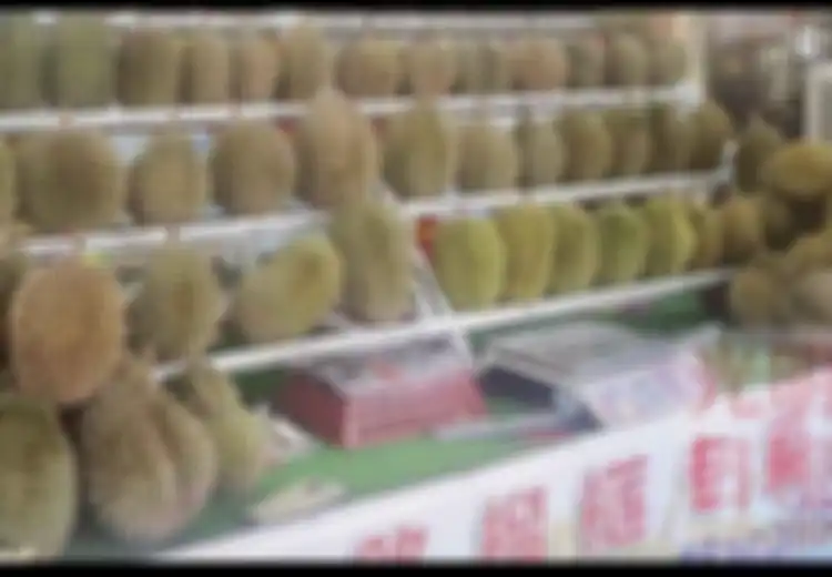 Buat Para Pecinta Durian, Ingat Jangan Pernah Beli dengan Ciri-ciri Berikut Ini, Agar Tidak Rugi Sekeluarga, Begini Cara Jitu Pilih  Durian Tanpa Tertipu!