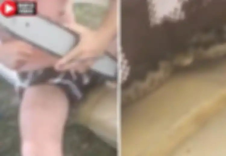 Ular Mematikan Tiba-tiba Menyelinap ke Dalam Celananya, Pria Ini Tetap Santai Sambil  Merokok, Ini yang Terjadi Kemudian