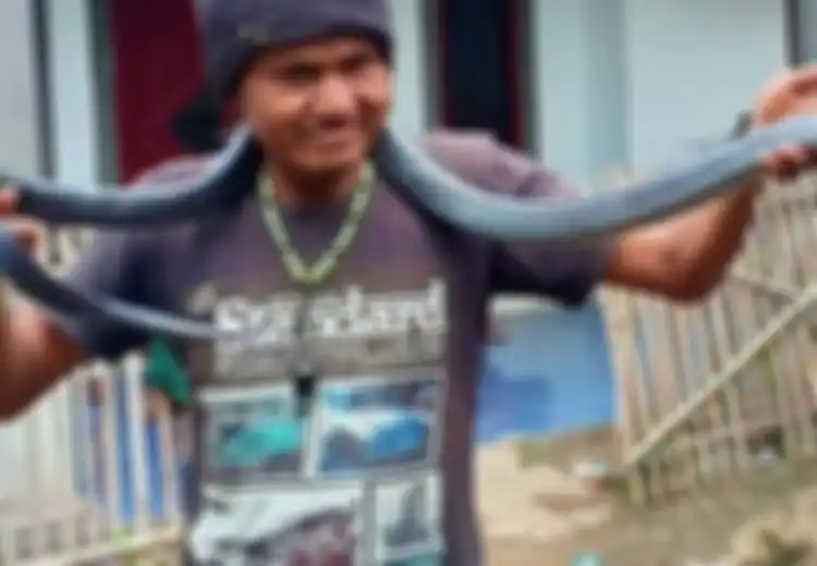 Pemiliknya Tewas Dililit Ular Sepanjang 3 Meter, Ularnya Lalu Dibunuh dan Dikubur Dekat Makam Tuannya