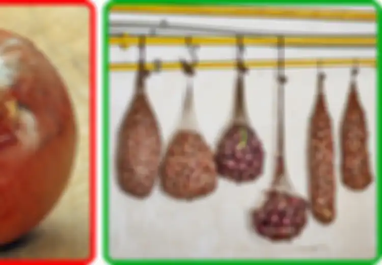 Tak Disimpan di Dalam Kulkas? Tenang, Ini 5 Tips Agar Buah dan Sayuran Tetap Segar dan Bisa Bertahan Lebih Lama