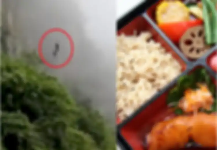 Demi Makan Siang yang Diantarkan untuk Temannya Tetap Panas, Wanita Ini Rela 'Terjun' dari Ketinggian 300 Meter