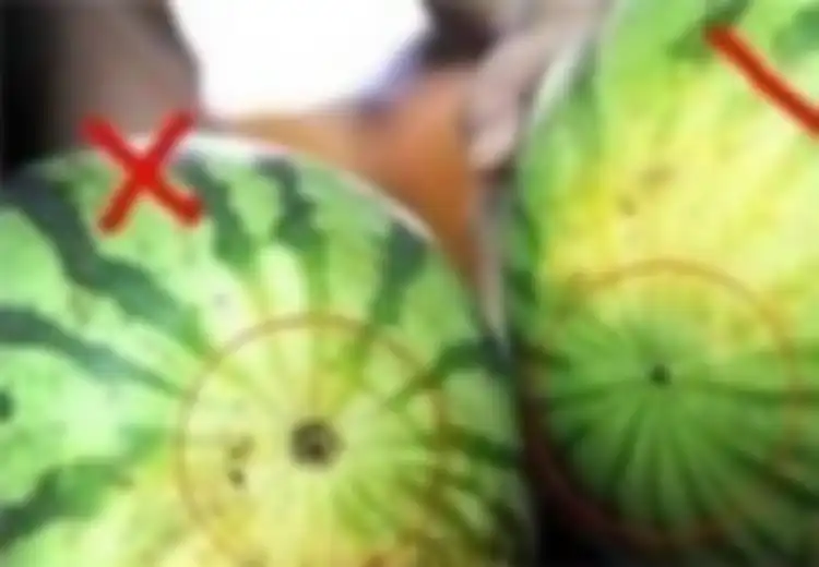 Trik Mudah Memilih Semangka,  Tinggal Perhatikan 'Tanda Ini' untuk Mendapatkan Buah Berkualitas