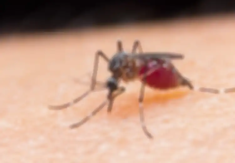 Pantas Jadi Pencapaian Terbesar Kedokteran, Lebih dari 100 Tahun Diuji hingga Terinfeksi Berulang-ulang, Akhirnya Vaksin Malaria Ini Terbukti Efektif Menyelamatkan Nyawa Anak-anak di Afrika