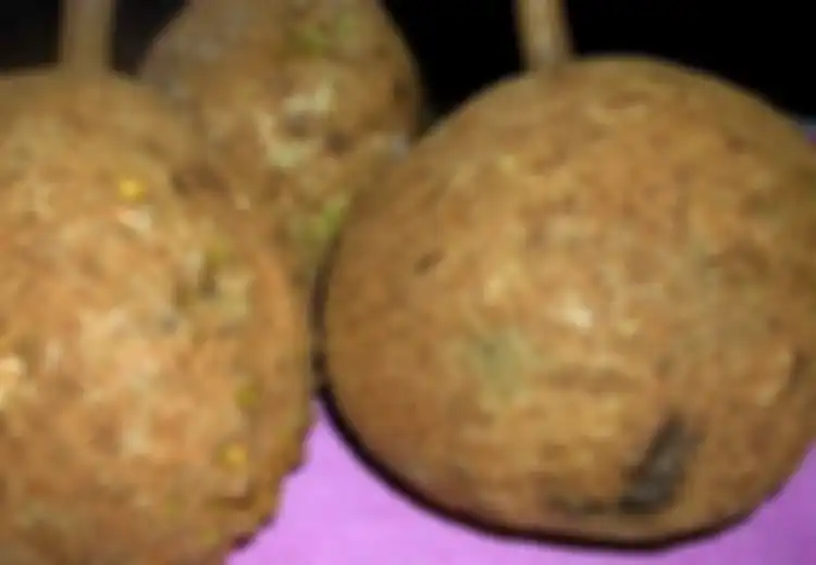 Tanpa Duri Sedikitpun, Inilah Durian 'Gundul' Asli NTB yang Unik, Bagaimana dengan Rasanya?