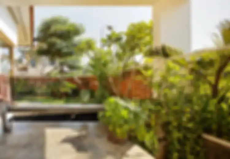 Tak Sekedar Menyegarkan Udara, Memiliki Taman di Rumah Ternyata Memiliki Manfaat Ajaib Bagi Mental Anda