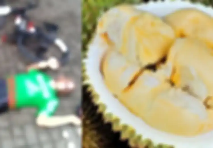 Viral Pesepeda yang Tewas Setelah Makan Durian: Ternyata Makan Durian Terlalu Banyak Bisa Sebabkan Kematian, Ini Penjelasannya
