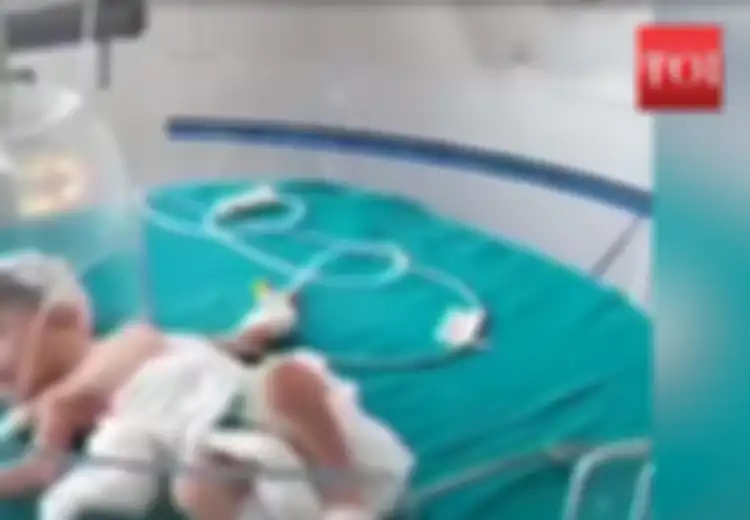 Kisah Ajaib Seorang Bayi yang Diselamatkan oleh Anjing Liar Ketika Ibunya Ingin Membunuhnya