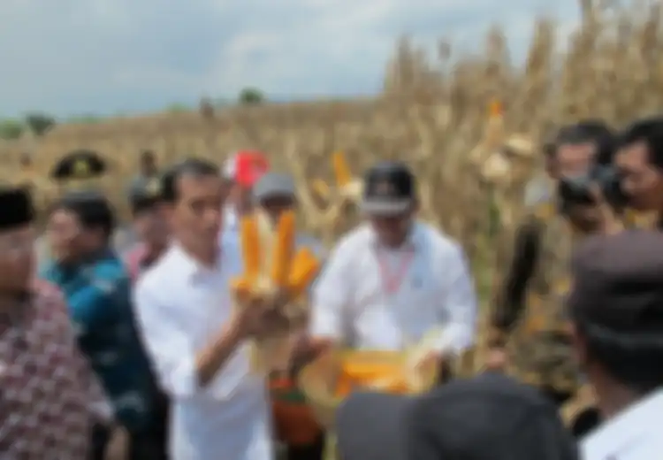 'Kalau Perut Rakyat Bersoal, Tidak Ada Sesuatu yang Tidak Bisa Dilakukan,' Titah Mentan Tetap Lakukan Panen Demi Mencukupi Kebutuhan Pangan di Tengah Pandemi Corona