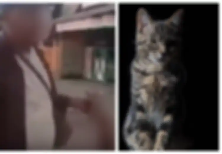 Viral Pria Makan Kucing Hidup-Hidup, Rupanya Inilah Efek yang Terjadi Pada Tubuh Manusia