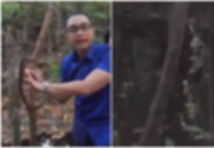 Selama Ini Dicari Dunia, Obat Kanker Justru Ditemukan di Belantara Hutan Indonesia, Ilmuwan Ungkap Fakta Mengejutkan Ini