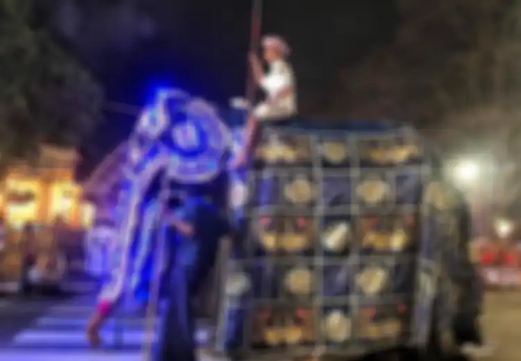 Foto-foto Memilukan Seekor Gajah di Balik Kostum Festivalnya, Kekurangan Gizi dan Dipaksa Berjalan Berkilo-kilometer Setiap Malam