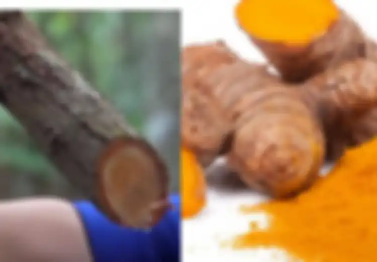 Tak Perlu Jauh-jauh ke Kalimantan Demi Bajakah, Obat Kanker Ada di Dapur Anda dalam Wujud Kunyit, Ini Cara Mengolahnya Menurut Pakar!