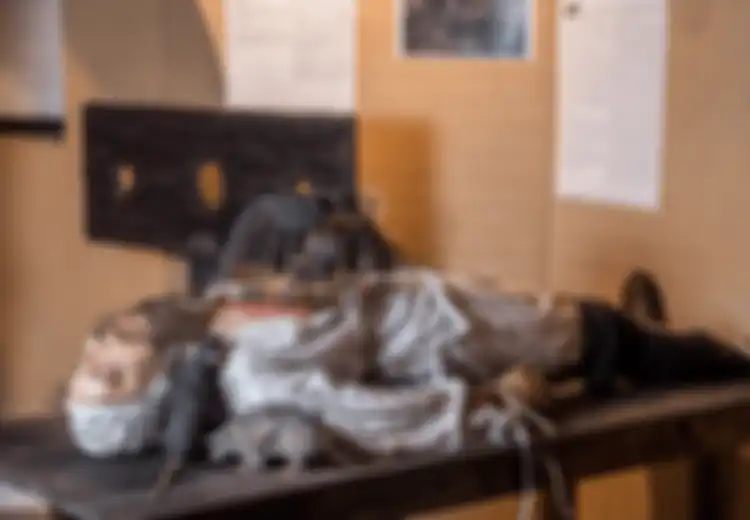 Tikus Akan Gerogoti Perut hingga Tembus ke Usus, Inilah Metode Penyiksaan Paling Mengerikan Sepanjang Sejarah