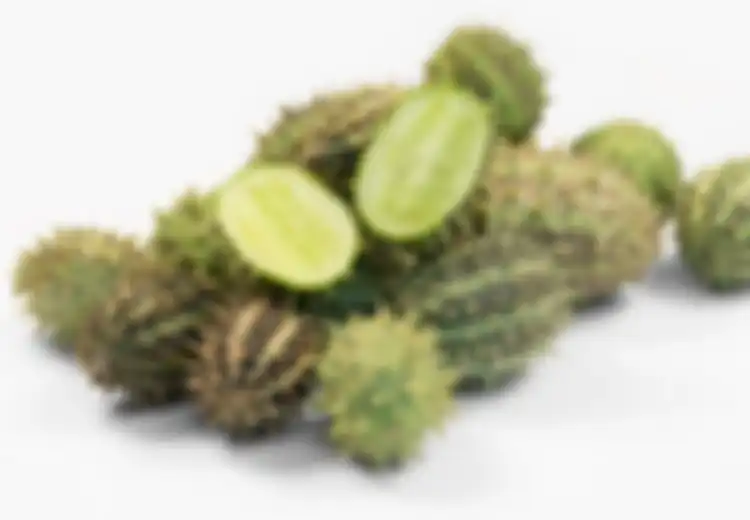 Ternyata, Seperti Inilah Bentuk Asli Buah dan Sayur Sebelum 'Dijinakkan' Manusia, Bisakah Anda Menebaknya?