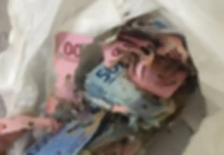 Nasib Naas Sunardi Simpan Uang 4 Juta Rupiah di Rumah Kosong Justru Habis Dimakan Rayap, Anak: 'Sering Kelupaan, Lebih dari Sekali Pokoknya'