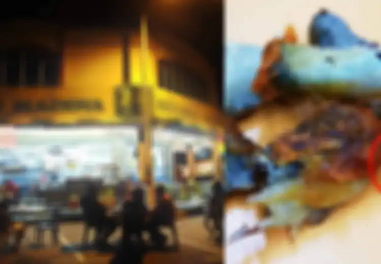 Belatung Merayap Keluar dari Ayam Gorengnya, Wanita Ini Komplain Restoran karena Makanan Busuk, Namun Dia Justru Disalahkan